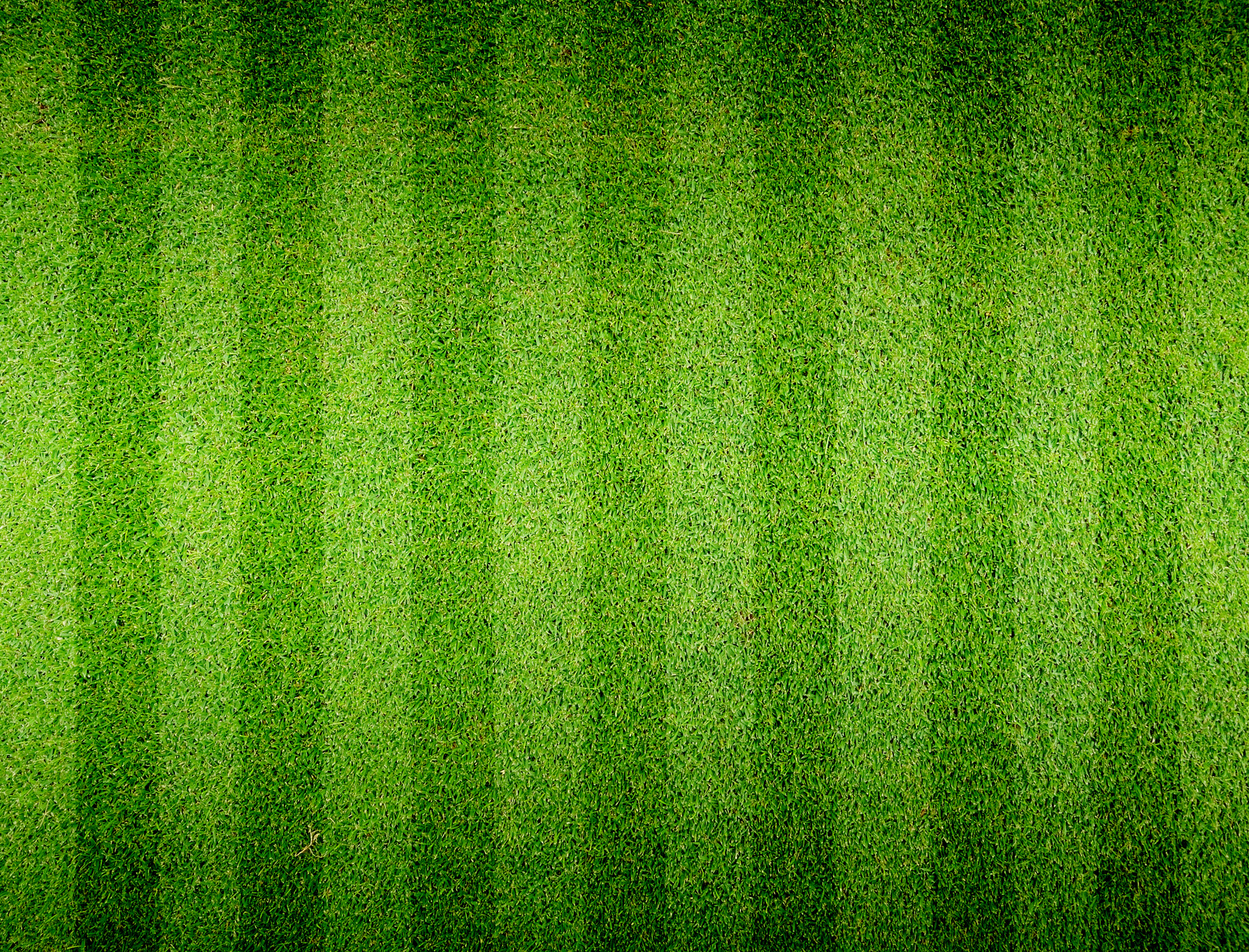 Soccer football grass field