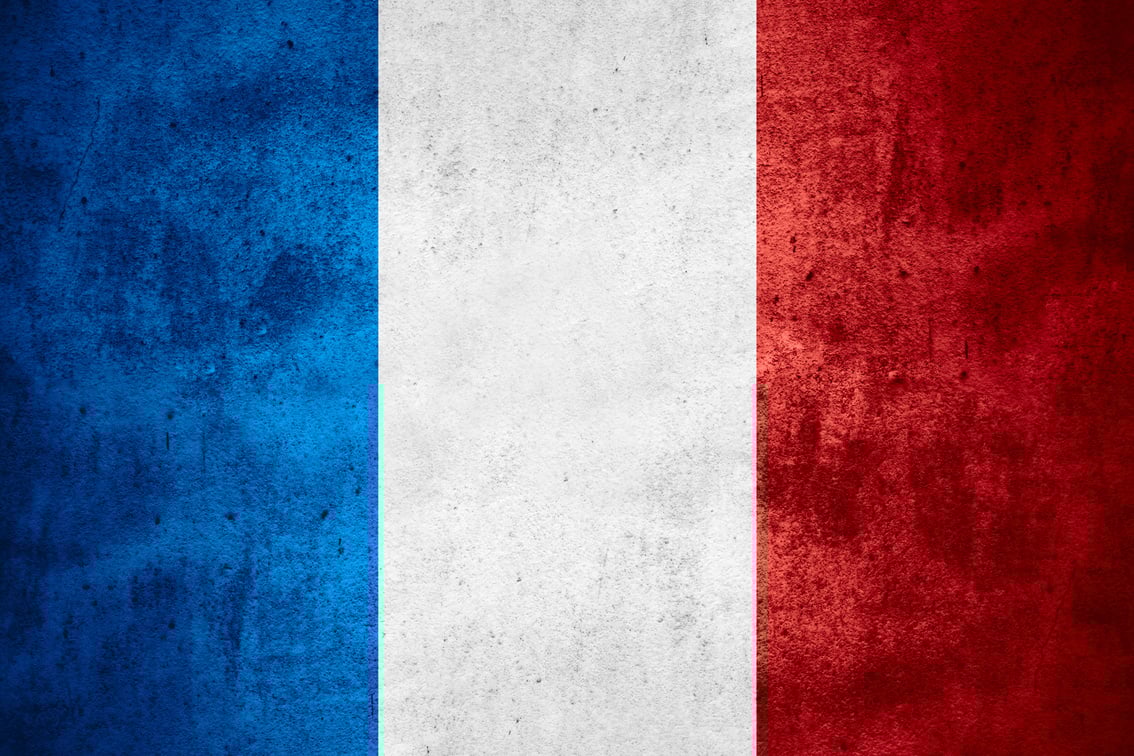 The flag of France in bold colors
